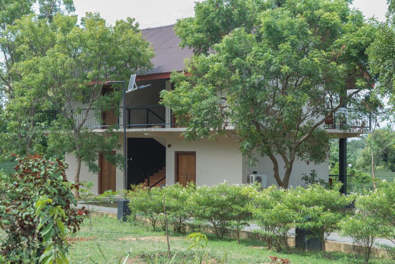 Nice Place Resort Dambulla Bagian luar foto
