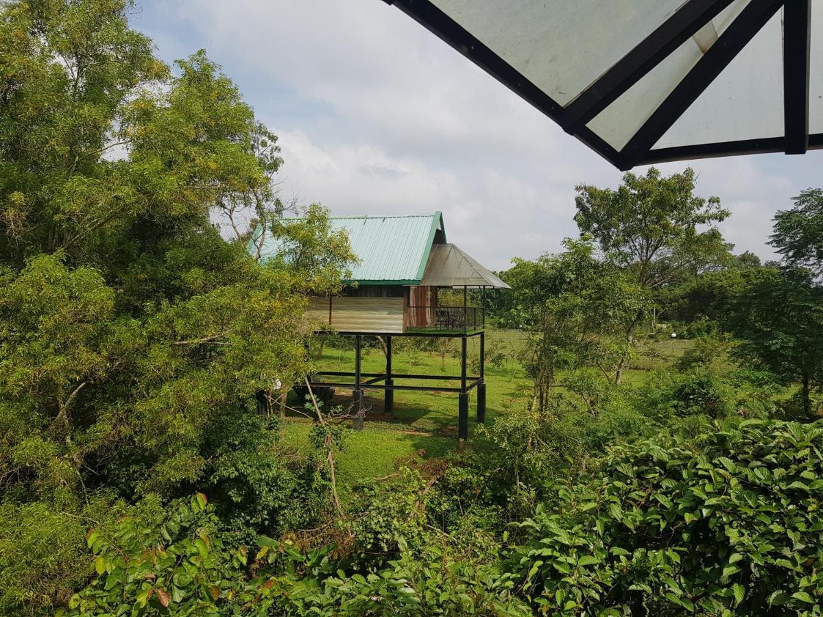 Nice Place Resort Dambulla Bagian luar foto