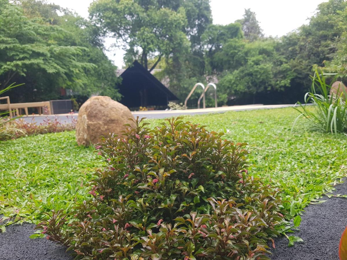 Nice Place Resort Dambulla Bagian luar foto