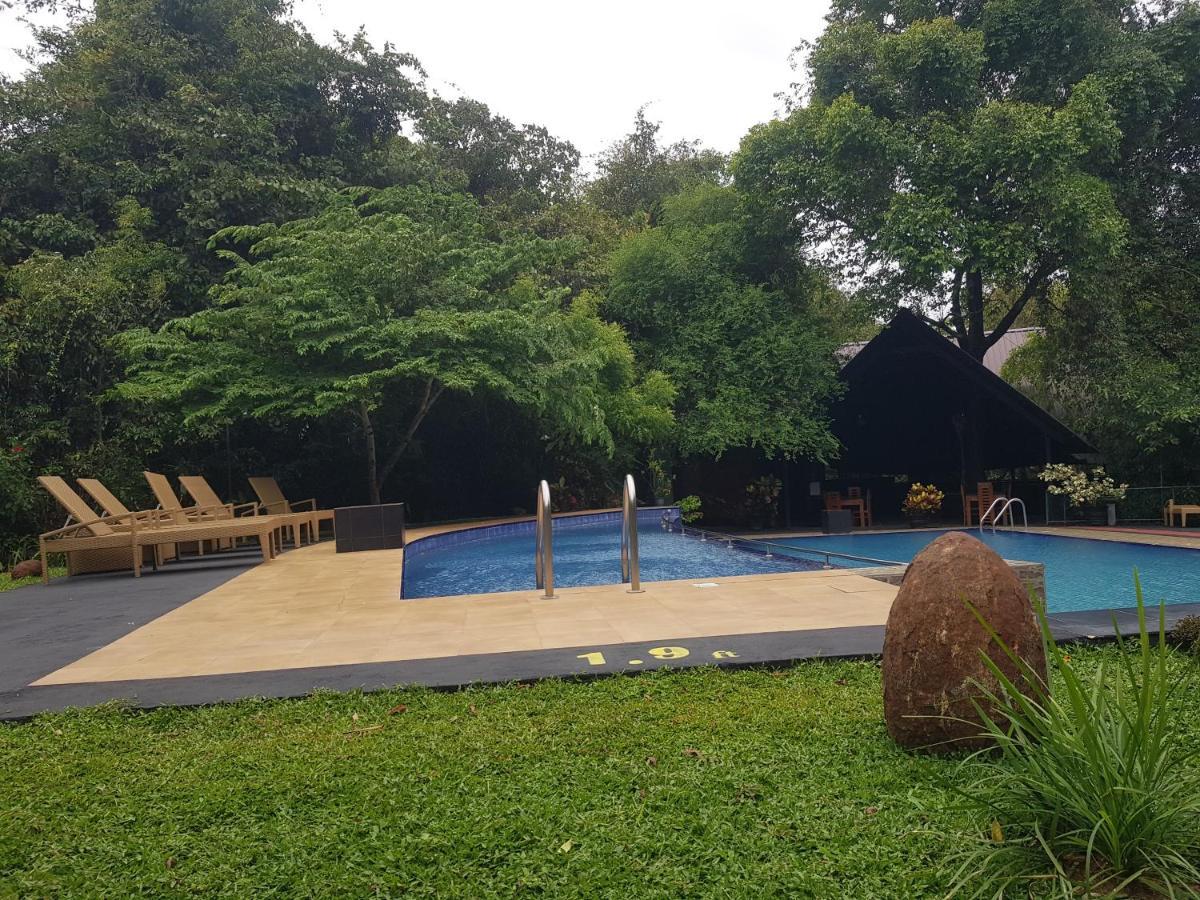 Nice Place Resort Dambulla Bagian luar foto
