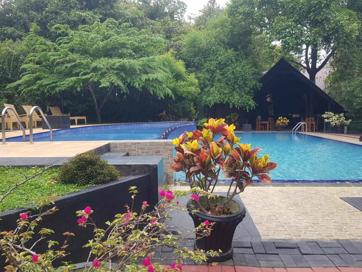 Nice Place Resort Dambulla Bagian luar foto