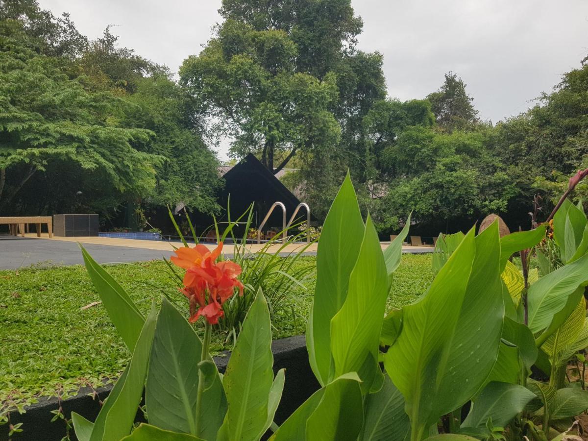 Nice Place Resort Dambulla Bagian luar foto