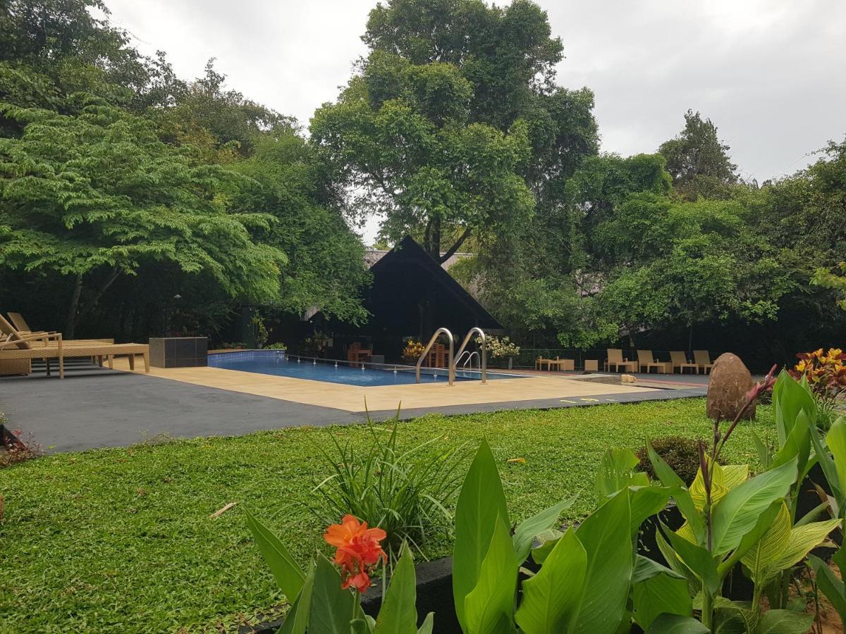 Nice Place Resort Dambulla Bagian luar foto