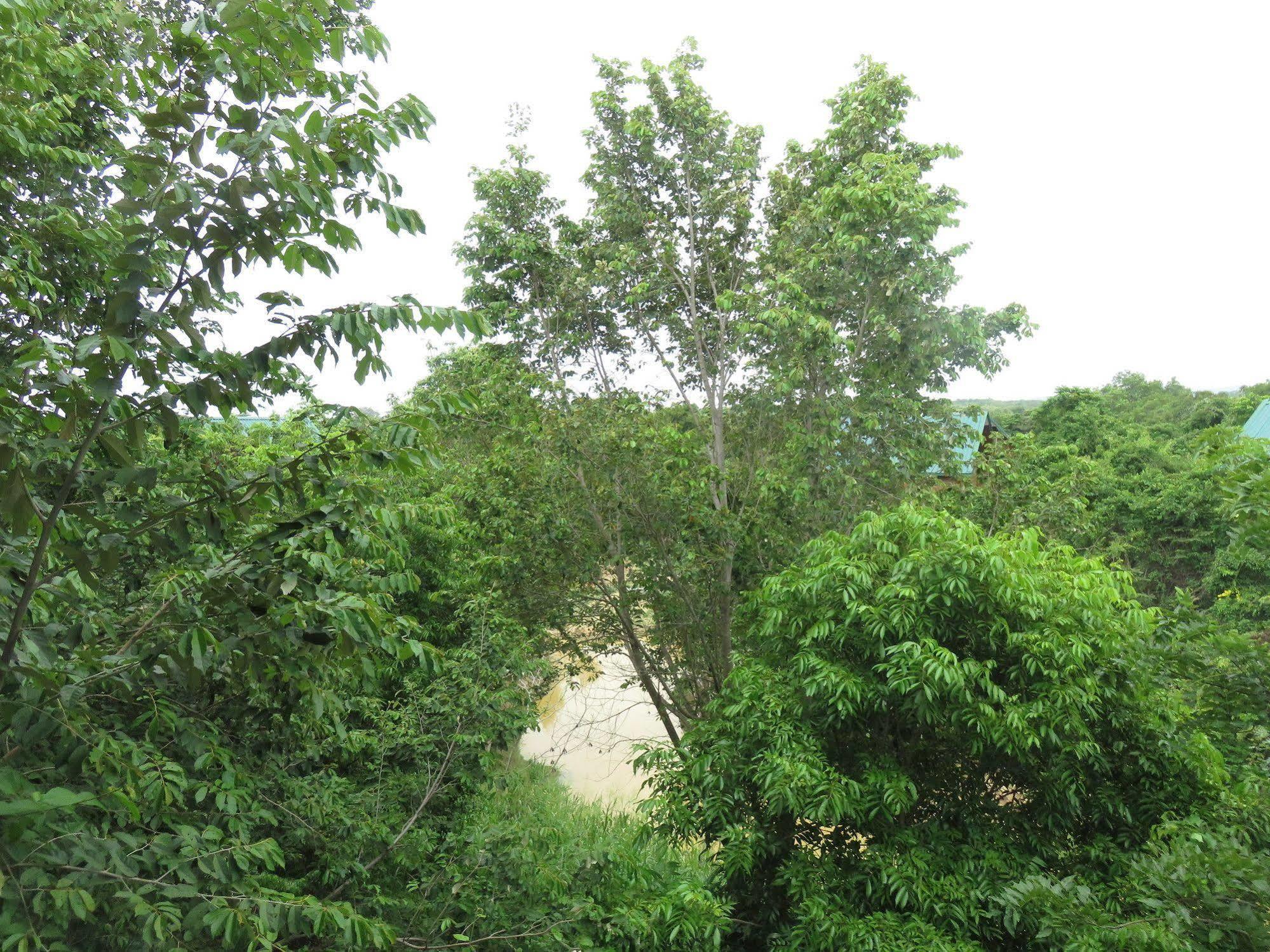 Nice Place Resort Dambulla Bagian luar foto