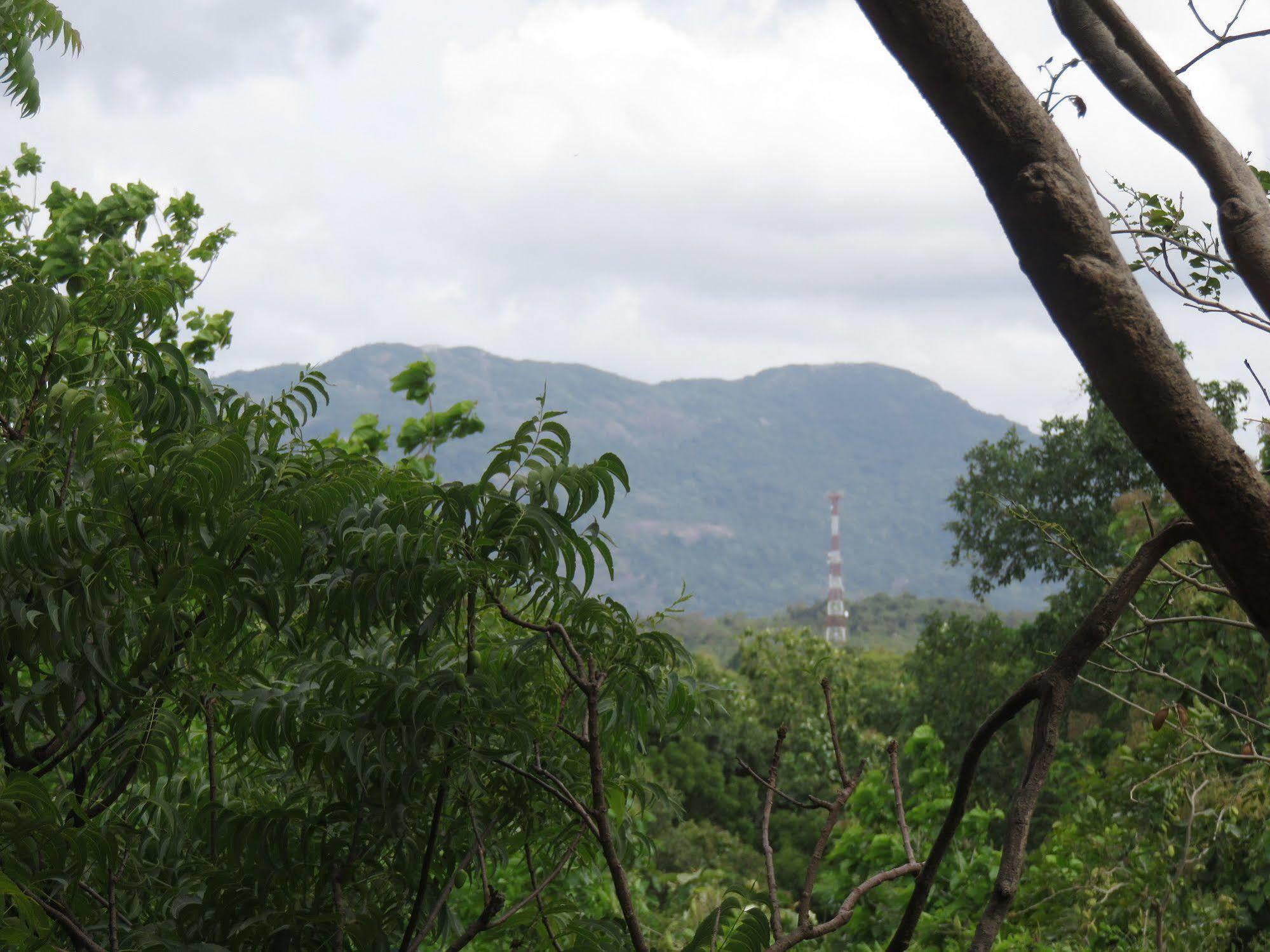 Nice Place Resort Dambulla Bagian luar foto